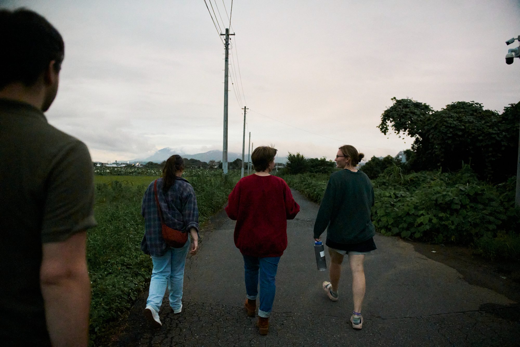 Four people walking down a narrow road between fields in the evening