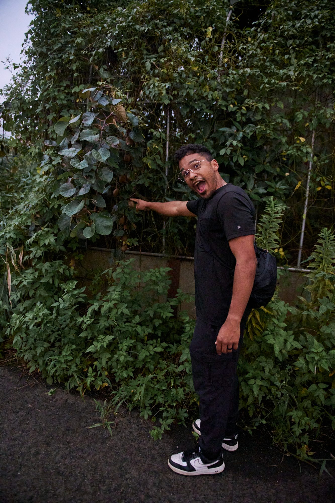 A man in a black shirt reaching up into a wall of garden vines