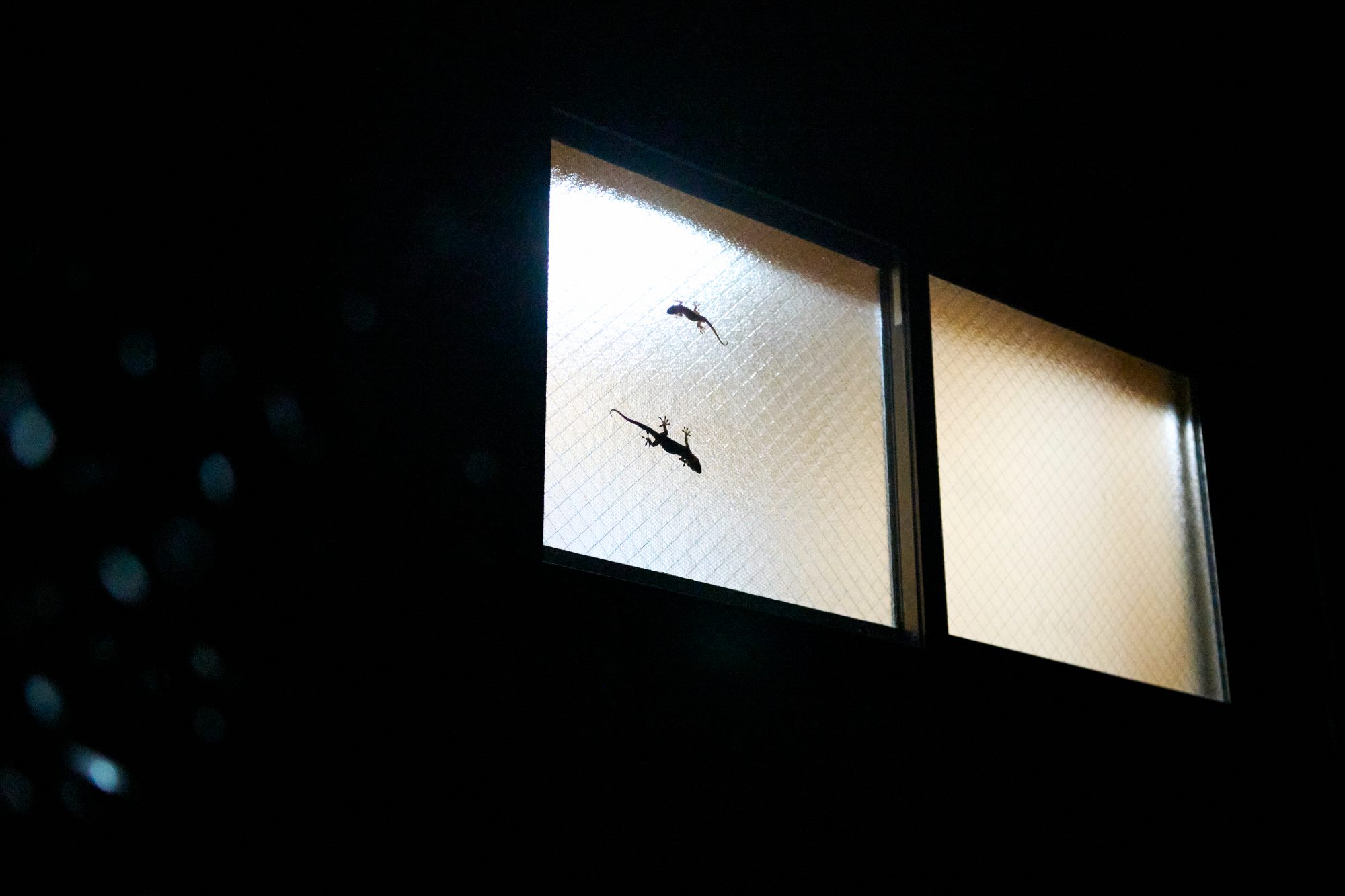 Two lit windows in a dark wall at night