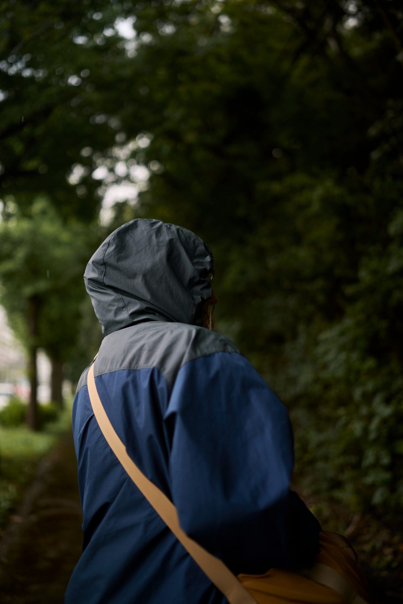 Someone in a blue rain jacket with the hood up, walking beneath trees