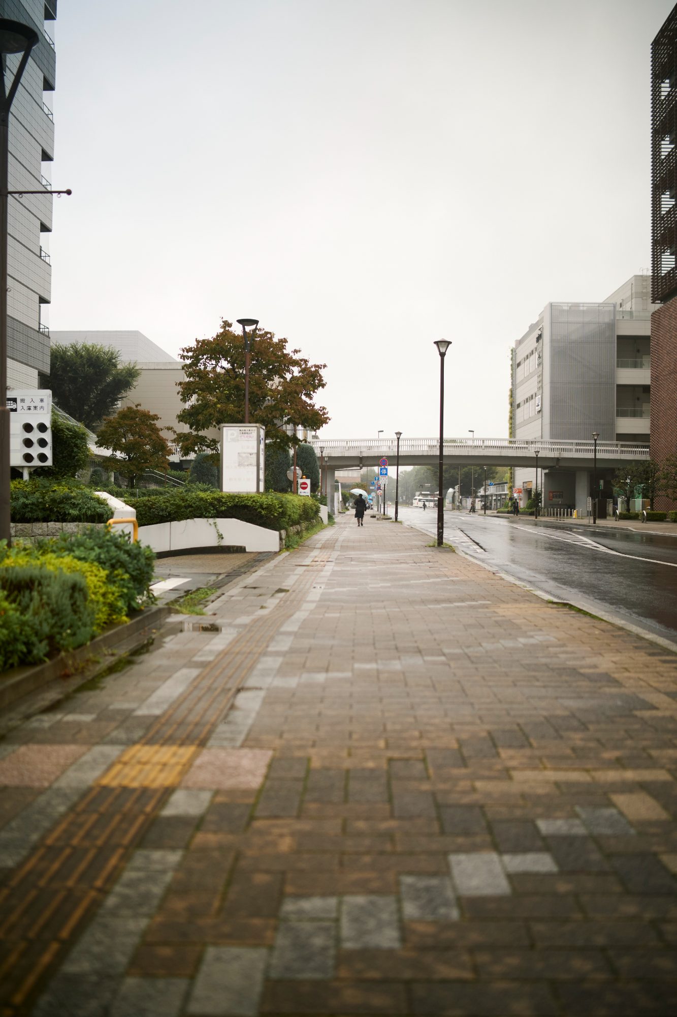 A brick pedestrian path through the city after rain