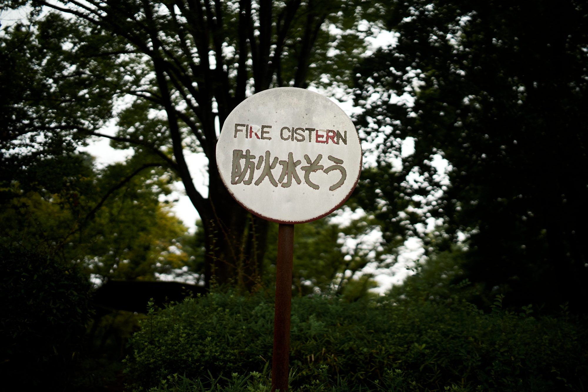 A round white sign on a post among dark green trees