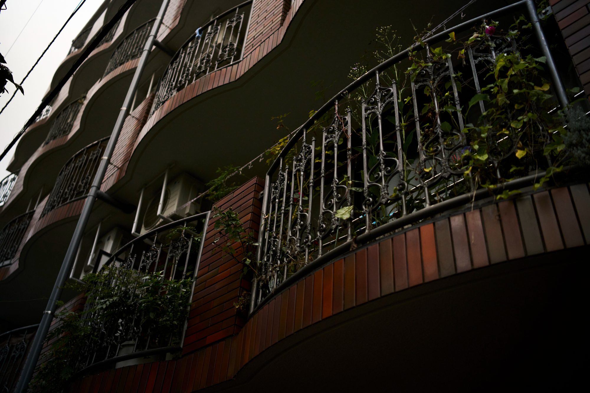 Curved ironwork balconies overflowing with plants