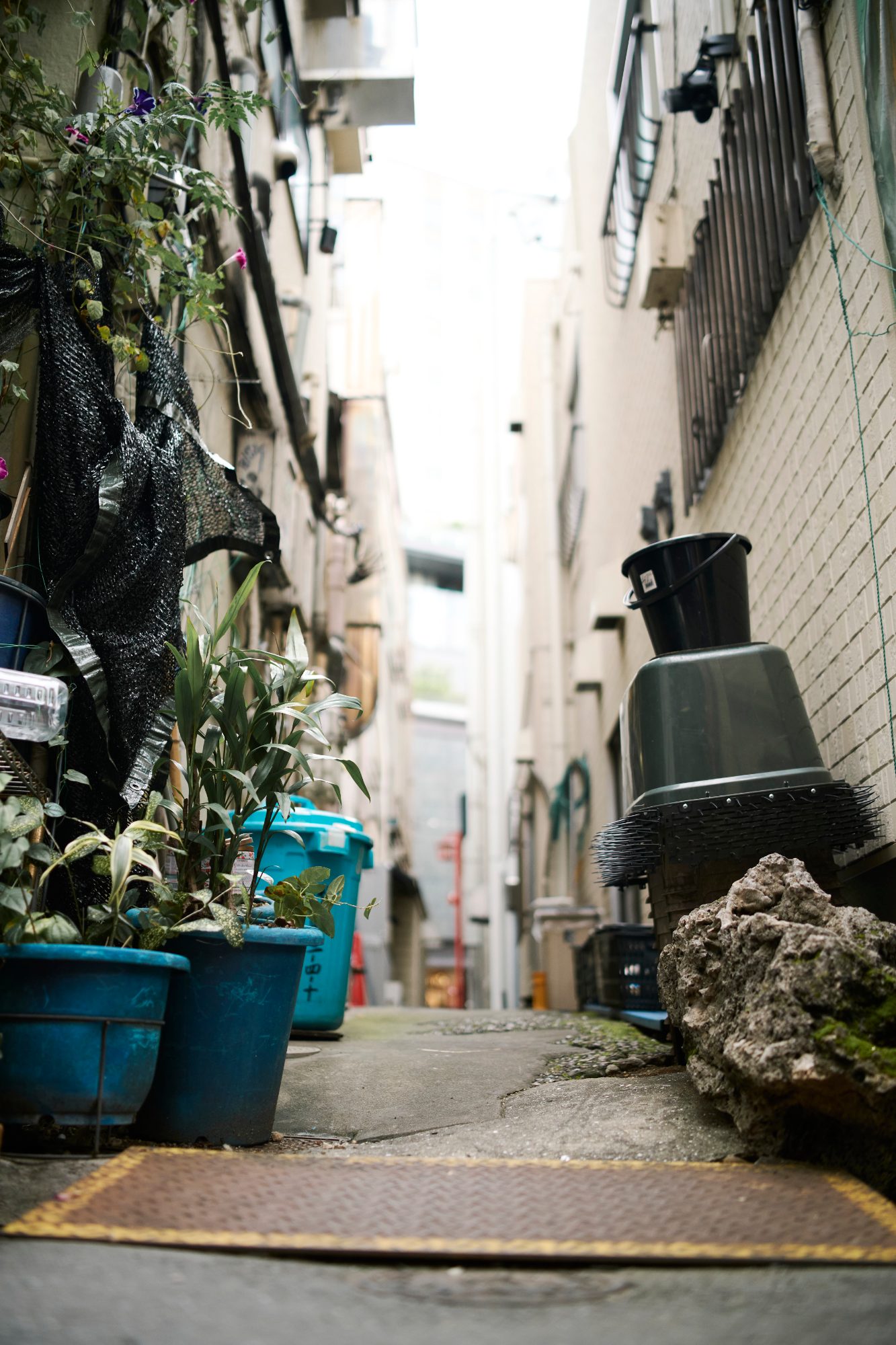 Potted plants and a bucket along a tight back alley