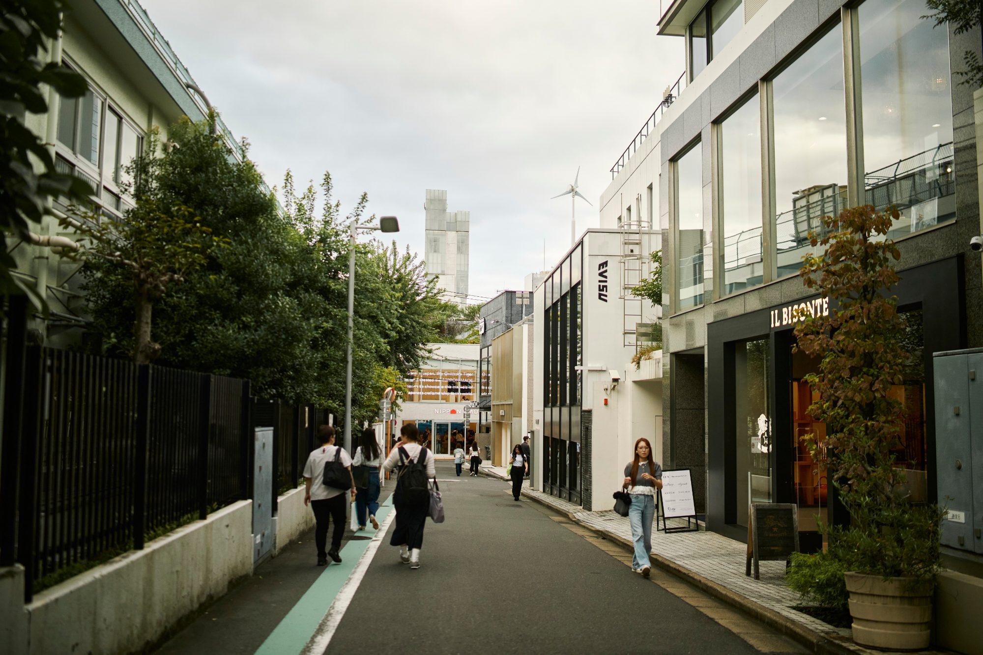 A tree-lined street of boutiques
