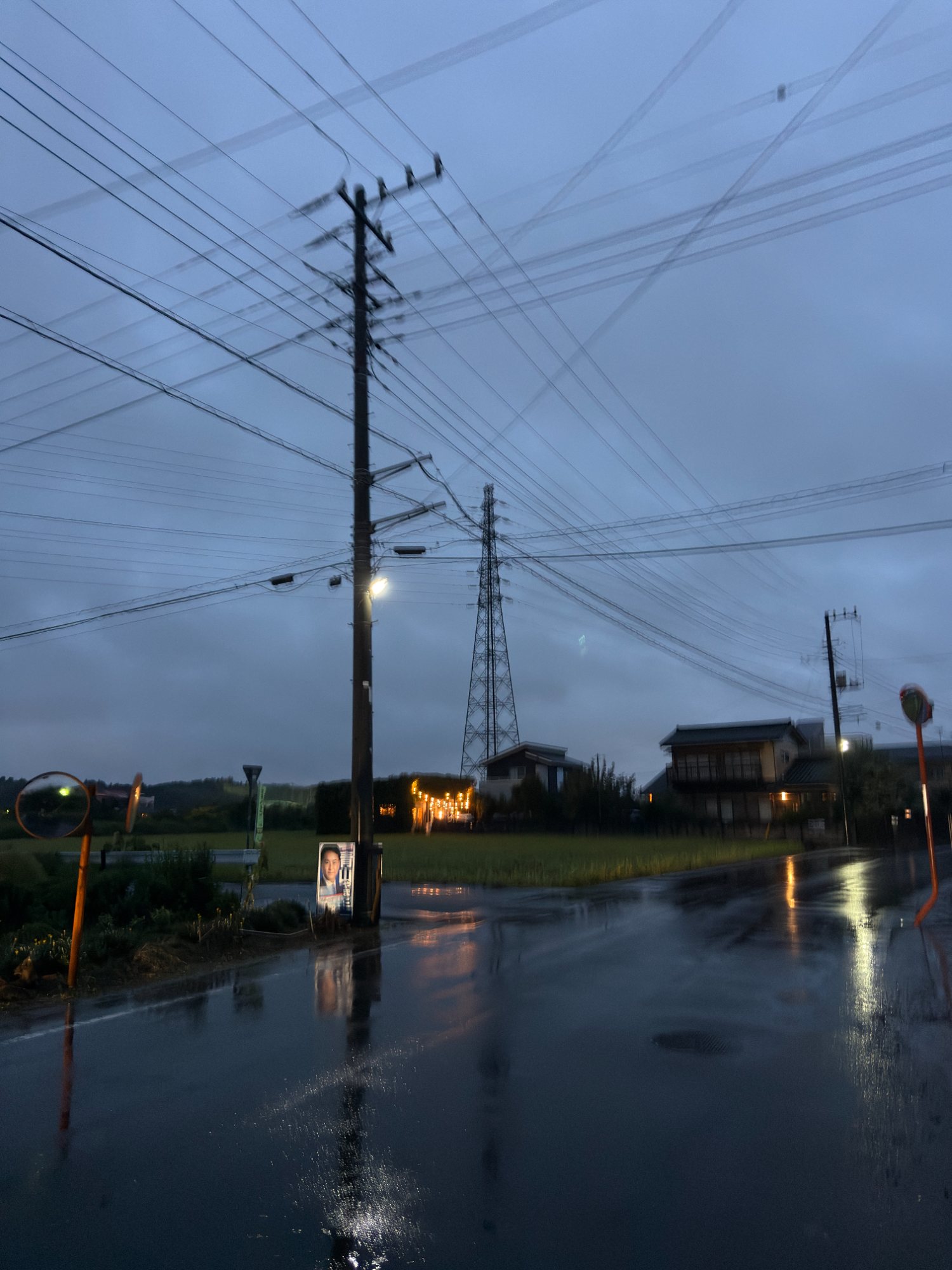 Power lines over a wet road at dusk