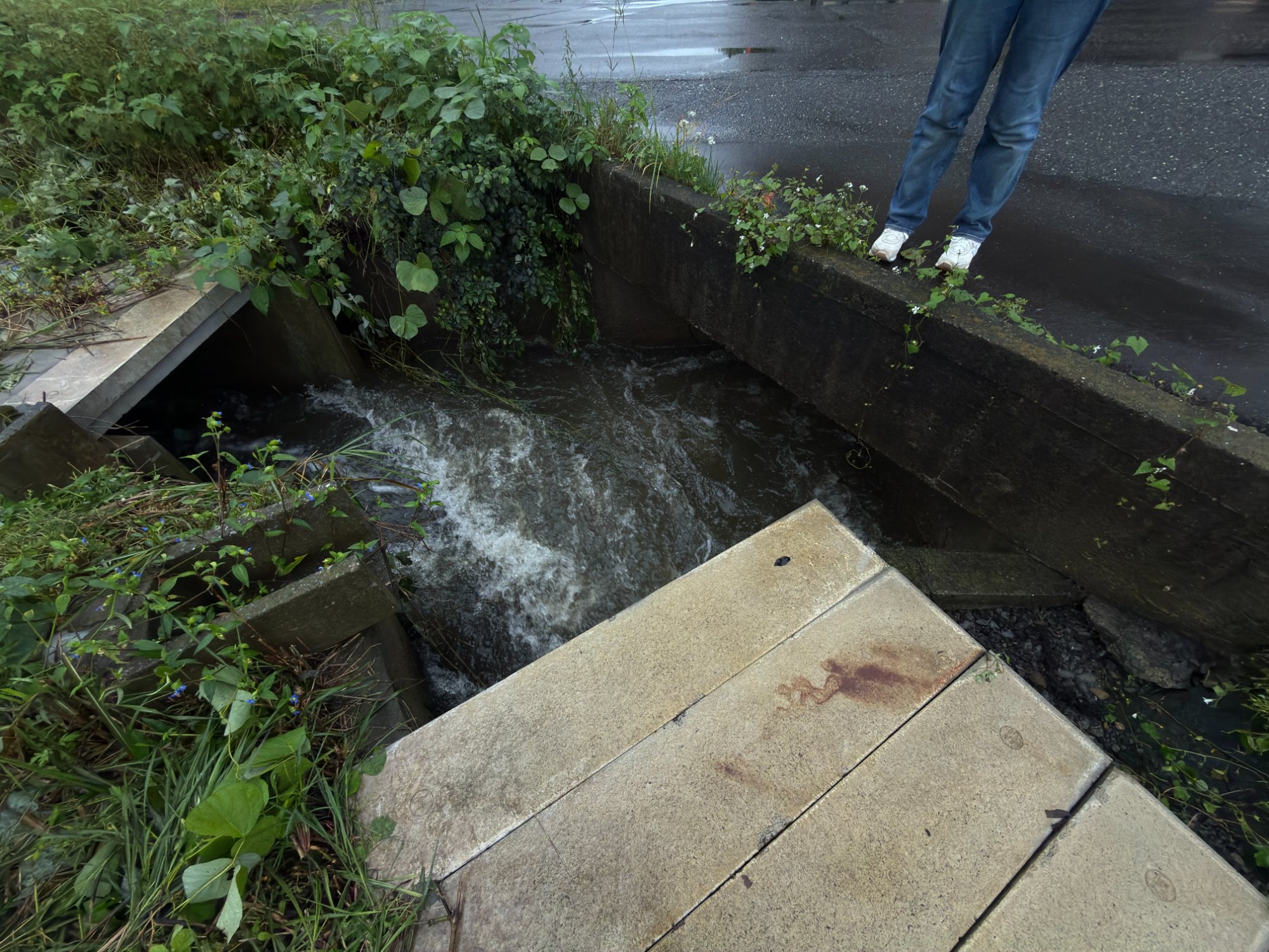 Water rushing through a drainage channel