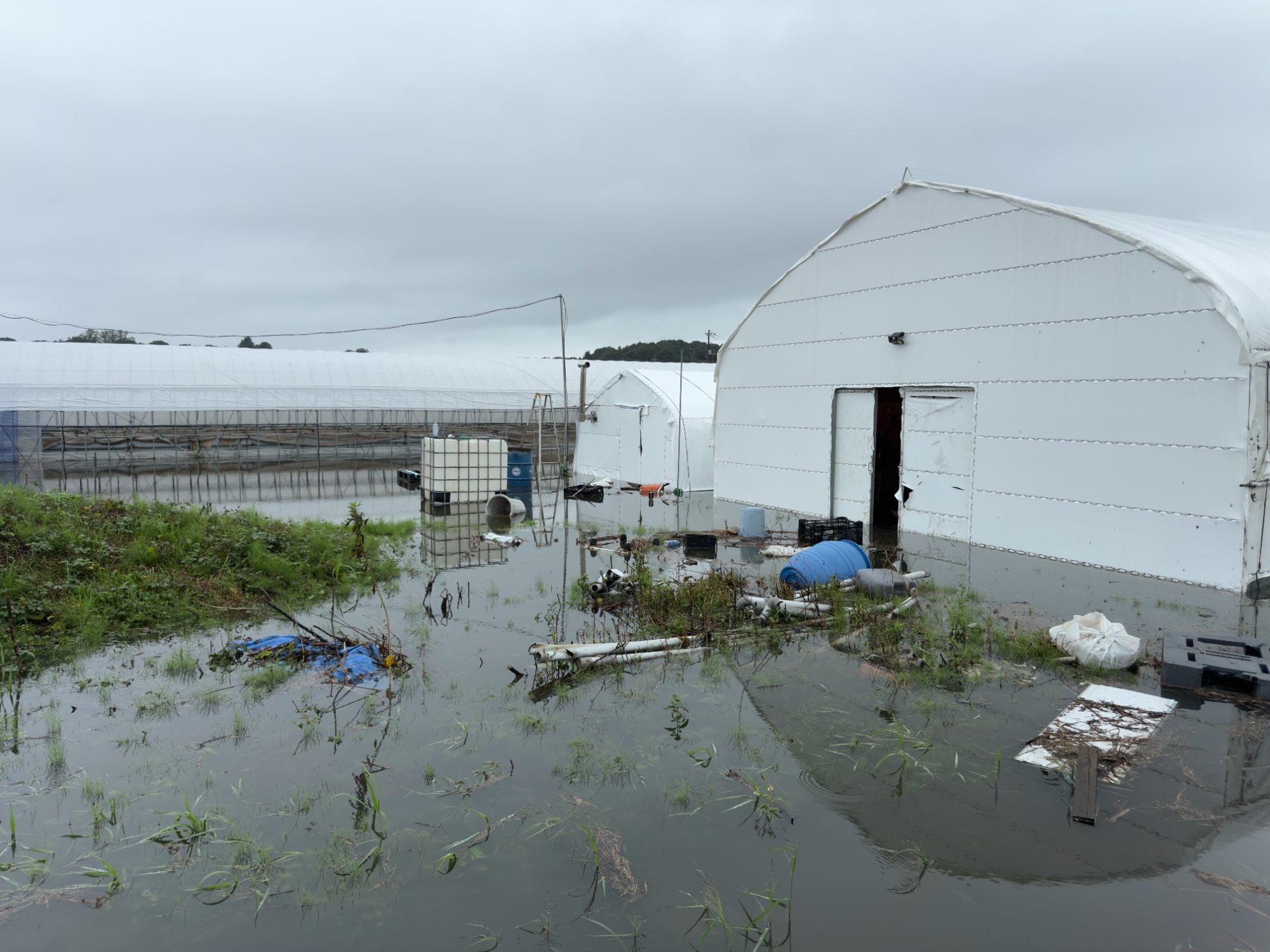 A collapsed greenhouse in a flooded field
